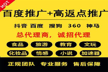 百度竞价广告的投放策略与成功案例分析
